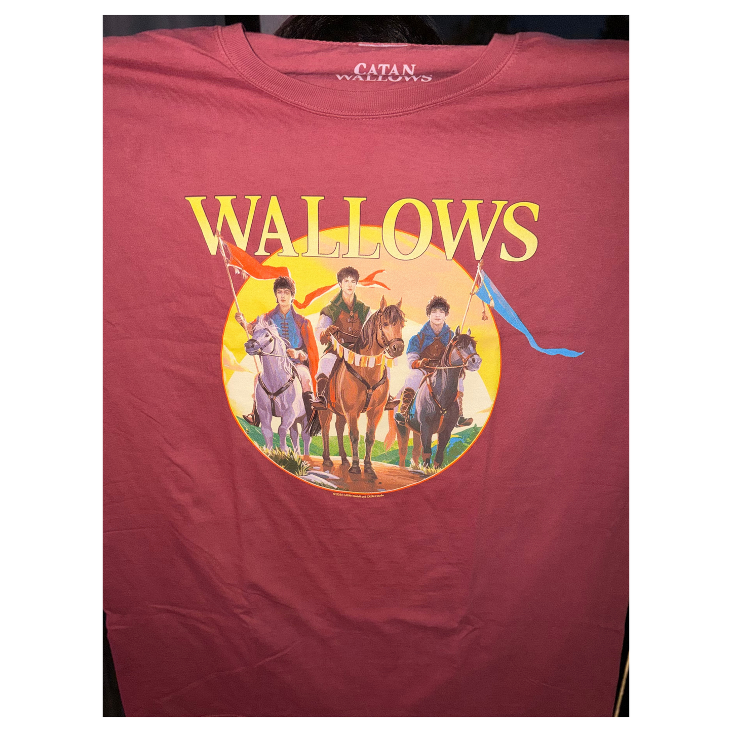 Wallows x Catan Tee