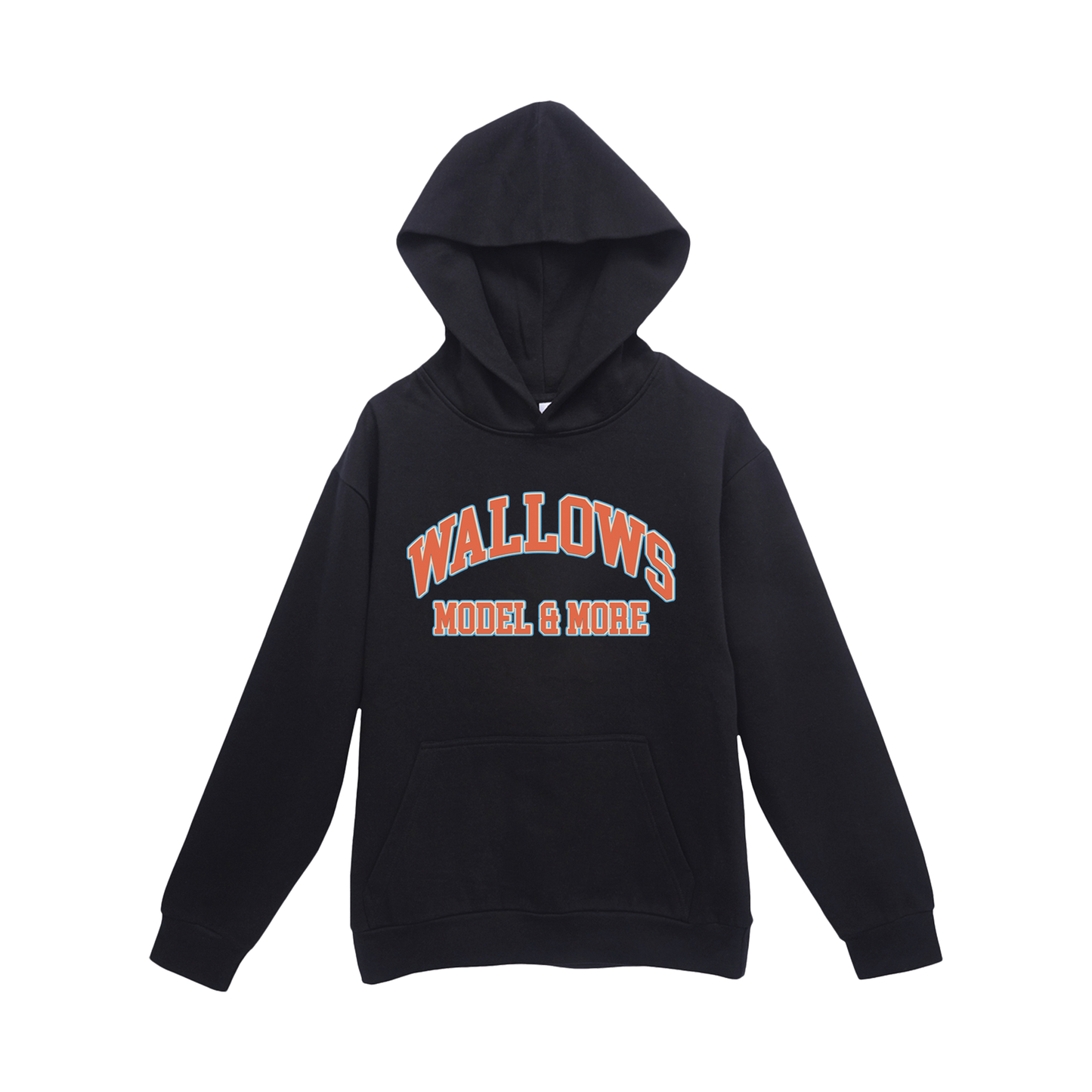 Collegiate Puff Print Hoodie – February 2025