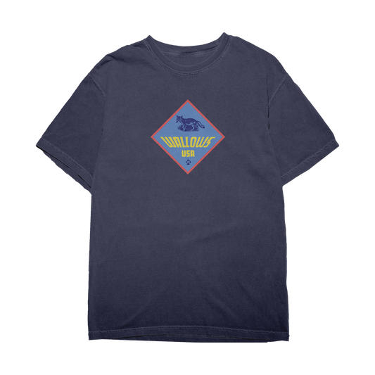 Scouts Tee
